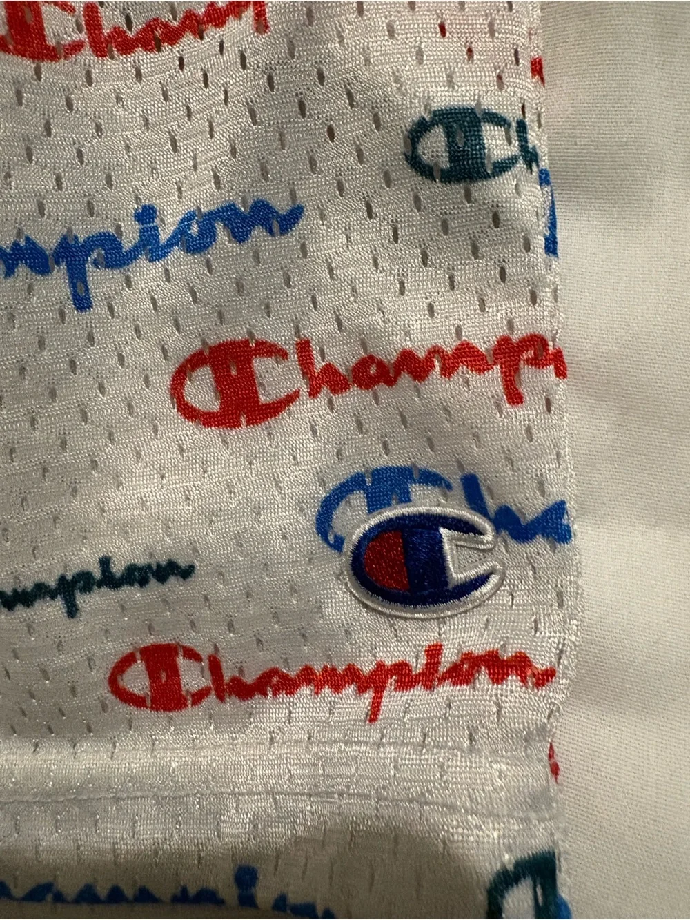 Champion Blue Tee with Multi-Color Logo Script shorts